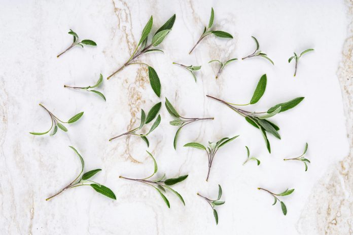 SageSure, one of the largest managing general underwriters in the US focused on catastrophe-exposed markets, has appointed John Sence as its new chief sales officer.