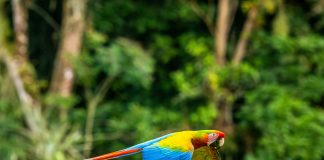 Cytora embeds open-source intelligence to reduce claims leakage Cytora embeds open-source intelligence to reduce claims leakage