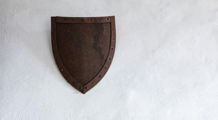 DSShield secures $54m backing from Merak Capital to scale operations