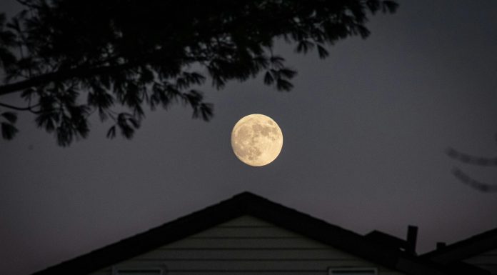 mea Platform, a fast-scaling (re)insurance AI product company, and Moonrock Insurance, a specialist drone insurance managing general agent (MGA), have entered into a partnership aimed at implementing mea Operations as an AI-first operating platform across Moonrock’s business.