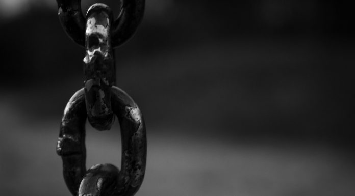 Global broking business Brokerslink, a worldwide network supporting insurance and reinsurance brokers, has strengthened its international ecosystem with the addition of Vantel, a Sweden-based specialist insurance technology company focused on AI-powered transformation for commercial insurance brokers.