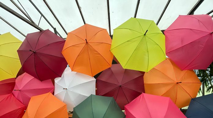 Ardonagh Europe, a large insurance distribution and underwriting group, has announced the launch of Orvia Underwriting, a new pan-European Managing General Agent (MGA) platform.