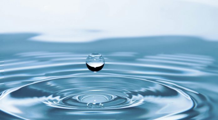 Scout Security joins Bolt Solutions to cut water damage claims Scout Security Limited, a security-as-a-service platform provider, has partnered with Bolt Solutions Inc., a global InsurTech company, to provide water damage prevention solutions to insurance policyholders.