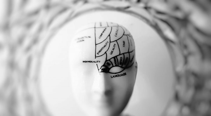 The expectation for insurance has changed. Paper forms, manual approvals, and siloed spreadsheets now feel as archaic as dial-up phones. In their place, customers and businesses alike demand speed, foresight, and a touch of intuition; systems that don’t just respond but anticipate. In 2026, the insurance industry is no longer just digital; it is smarter, more agile, and more connected than ever before.