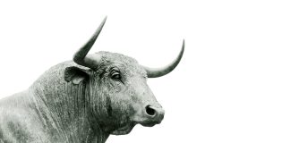 eToro and Amundi launch equity portfolio focused on megatrends