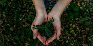 IMTF strengthens ESG standing with EcoVadis badge IMTF