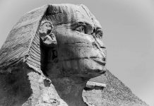 Sphinx secures $7.1m to expand global compliance agents Sphinx, a RegTech company developing browser-native compliance agents for financial institutions, has raised $7.1m in seed funding as it looks to scale its technology across banks and FinTechs.