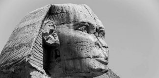 Sphinx, a RegTech company developing browser-native compliance agents for financial institutions, has raised $7.1m in seed funding as it looks to scale its technology across banks and FinTechs.