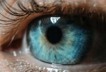 LexisNexis introduces IDVerse for Insurance for identity checks LexisNexis Risk Solutions, a global data analytics company, has announced the availability of LexisNexis IDVerse for Insurance, a new AI-powered document authentication and identity verification solution.