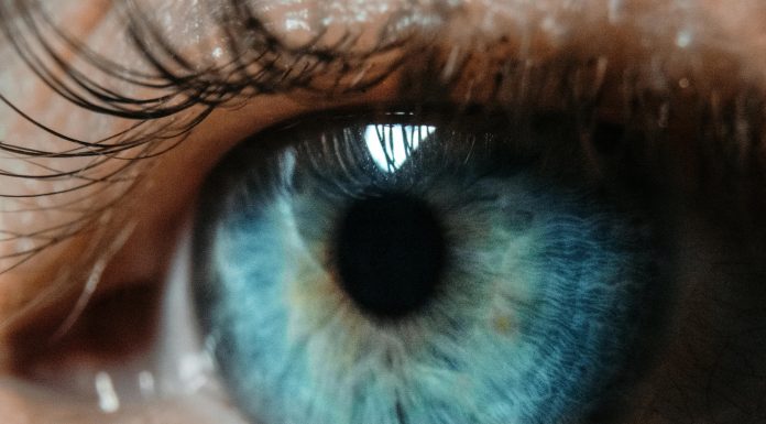 LexisNexis Risk Solutions, a global data analytics company, has announced the availability of LexisNexis IDVerse for Insurance, a new AI-powered document authentication and identity verification solution.