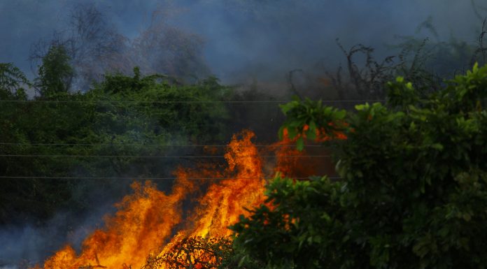 Delos Insurance Solutions partners with InnSure to tackle wildfire risk Delos Insurance Solutions, a property insurance managing general agent, and InnSure, a nonprofit innovation hub dedicated to developing insurance solutions for climate-driven risks, have announced a strategic partnership aimed at improving education, resilience and insurance affordability in wildfire-exposed communities.