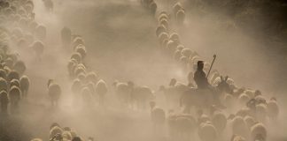 Admiral Group, a UK-based motor and household insurer, has agreed to acquire Flock, a digital commercial fleet InsurTech specialising in telemetry-led risk assessment, in a transaction that values Flock’s equity at £80m and remains subject to regulatory approval.