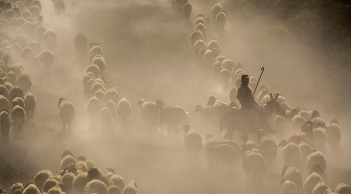 Admiral Group, a UK-based motor and household insurer, has agreed to acquire Flock, a digital commercial fleet InsurTech specialising in telemetry-led risk assessment, in a transaction that values Flock’s equity at £80m and remains subject to regulatory approval.