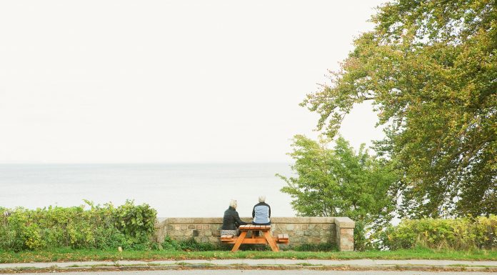 Nest Pensions reveals UK pension investment gap