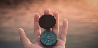 How digital WealthTech journeys convert clients to advisors