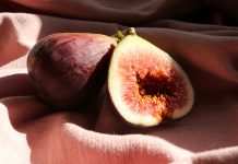 Fig