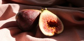 Fig