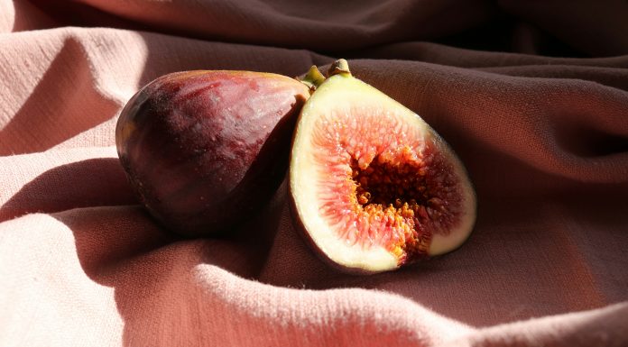 Fig