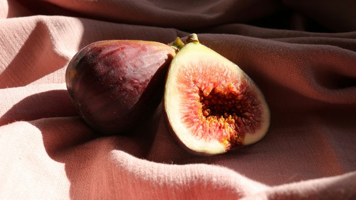 Fig