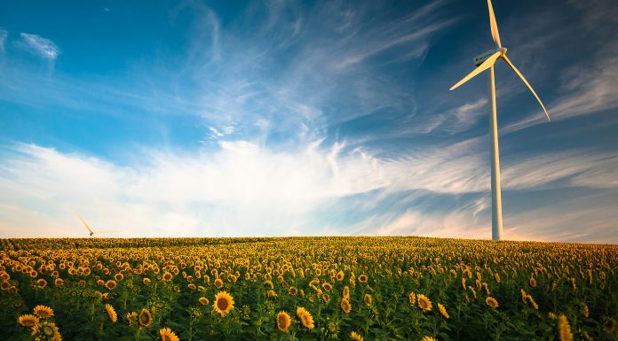 LSEG launches sustainability ratings for global markets
