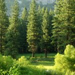 LSEG launches redesigned ESG scores for investors