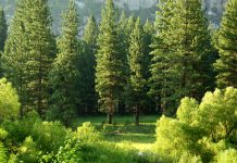 LSEG launches redesigned ESG scores for investors LSEG launches redesigned ESG scores for investors