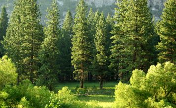 LSEG launches redesigned ESG scores for investors