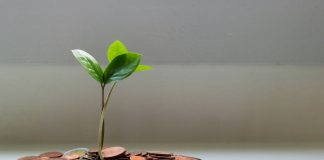 Wealthyhood raises €6m from Bank of Cyprus for EU growth