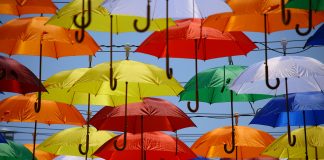 Lloyd’s coverholder Testudo has secured additional underwriting support from insurers Atrium and QBE for its generative AI liability insurance product.