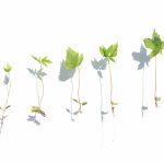 The rapid expansion of AI-driven actuarial platforms is forcing InsurTech firms to rethink how they operate internally. As companies scale across markets, adding customers, products and teams in different geographies, operational complexity increases quickly. Data visibility, coordination between offices and the integration of new technologies all become critical factors in maintaining momentum.