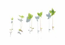 Scaling Akur8: how the company is building for global growth The rapid expansion of AI-driven actuarial platforms is forcing InsurTech firms to rethink how they operate internally. As companies scale across markets, adding customers, products and teams in different geographies, operational complexity increases quickly. Data visibility, coordination between offices and the integration of new technologies all become critical factors in maintaining momentum.