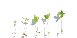 The rapid expansion of AI-driven actuarial platforms is forcing InsurTech firms to rethink how they operate internally. As companies scale across markets, adding customers, products and teams in different geographies, operational complexity increases quickly. Data visibility, coordination between offices and the integration of new technologies all become critical factors in maintaining momentum.