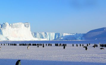 Bold Penguin adds Foxquilt to insurance marketplace Commercial insurance exchange Bold Penguin has partnered with digital MGU Foxquilt to expand admitted commercial general liability coverage options for insurance agents.