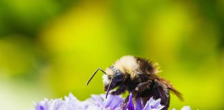 PensionBee has welcomed the Financial Conduct Authority’s (FCA) plans to introduce regulation for ESG ratings providers, calling the move a long-overdue step toward greater transparency and accountability.