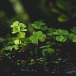 Embedded insurance platform Kayna has raised €1.5m ($1.7m) in a seed funding round to support expansion in the UK and US markets.