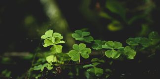 Embedded insurance platform Kayna has raised €1.5m ($1.7m) in a seed funding round to support expansion in the UK and US markets.