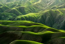 Earth Blox raises £6m to help banks price nature risk