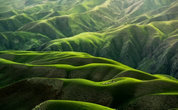 Earth Blox raises £6m to help banks price nature risk