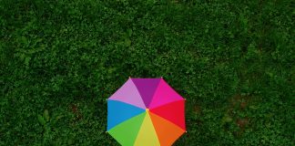 QBE, a global insurer, has partnered with Aurora to launch a fully automated lead algorithmic underwriting capability for complex specialty risks, now live within its Yacht Protection & Indemnity product.