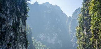 Wise lands Thailand licences in push to expand across APAC