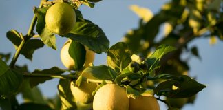 ZestyAI, a risk and decision intelligence platform for the insurance industry, has secured partnerships with two US regional insurers, Harford Mutual Insurance Group and American European Insurance Group (AEIG), to strengthen property-level underwriting across their respective portfolios.