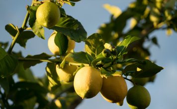 ZestyAI, a risk and decision intelligence platform for the insurance industry, has secured partnerships with two US regional insurers, Harford Mutual Insurance Group and American European Insurance Group (AEIG), to strengthen property-level underwriting across their respective portfolios.