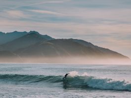 Surf AI raises $57m to tackle enterprise security ops Surf