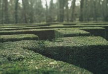For more than three centuries, visitors to the maze at Hampton Court Palace have tested their sense of direction among its tall hedges. Built in the late 17th century, the maze’s trapezoidal design looks straightforward on paper. Yet once inside, its looping paths quickly become disorientating. Turn after turn looks familiar. Progress becomes guesswork. Modern compliance systems often produce a similar experience.