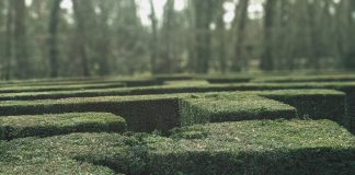 For more than three centuries, visitors to the maze at Hampton Court Palace have tested their sense of direction among its tall hedges. Built in the late 17th century, the maze’s trapezoidal design looks straightforward on paper. Yet once inside, its looping paths quickly become disorientating. Turn after turn looks familiar. Progress becomes guesswork. Modern compliance systems often produce a similar experience.