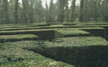For more than three centuries, visitors to the maze at Hampton Court Palace have tested their sense of direction among its tall hedges. Built in the late 17th century, the maze’s trapezoidal design looks straightforward on paper. Yet once inside, its looping paths quickly become disorientating. Turn after turn looks familiar. Progress becomes guesswork. Modern compliance systems often produce a similar experience.