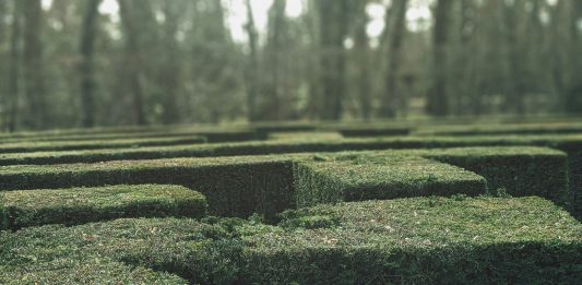 For more than three centuries, visitors to the maze at Hampton Court Palace have tested their sense of direction among its tall hedges. Built in the late 17th century, the maze’s trapezoidal design looks straightforward on paper. Yet once inside, its looping paths quickly become disorientating. Turn after turn looks familiar. Progress becomes guesswork. Modern compliance systems often produce a similar experience.