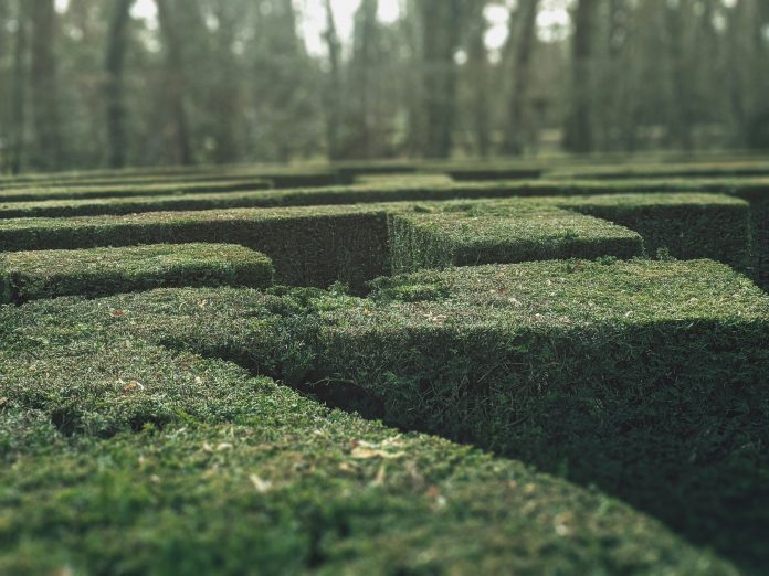 For more than three centuries, visitors to the maze at Hampton Court Palace have tested their sense of direction among its tall hedges. Built in the late 17th century, the maze’s trapezoidal design looks straightforward on paper. Yet once inside, its looping paths quickly become disorientating. Turn after turn looks familiar. Progress becomes guesswork. Modern compliance systems often produce a similar experience.