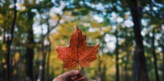 Common Wealth raises $12m CAD to expand retirement access