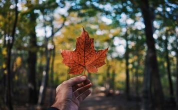 Common Wealth raises $12m CAD to expand retirement access Common Wealth raises $12m CAD to expand retirement access